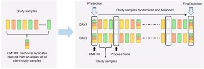 Age-Dependent Metabolomic Profile of the Follicular Fluids From Women Undergoing Assisted Reproductive Technology Treatment